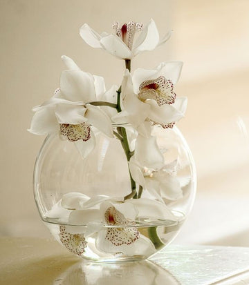 Journaling vs Venting Difference. Beautiful white orchids in a clear vase, symbolizing calm and serenity.